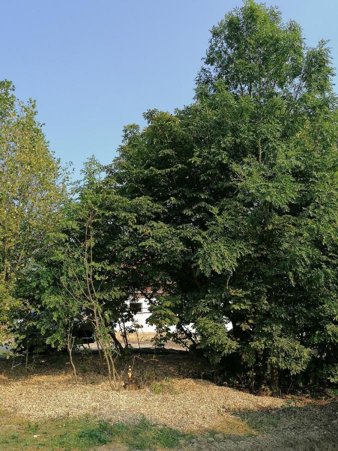 Camping Weides Küps 外观 照片